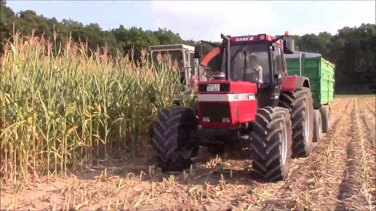 Maishäckseln 2016 mit Mengele SF2000, Case 1455, Fendt, Deutz