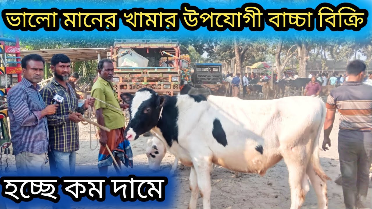 ১৯/২/২৬| রংপুর জেলার পাওটানার হাটে