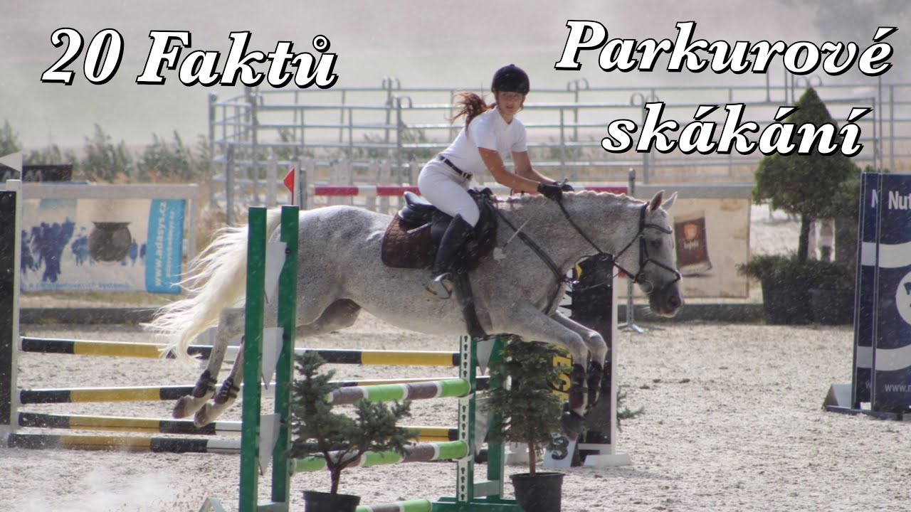20 Faktů // Parkurové skákání