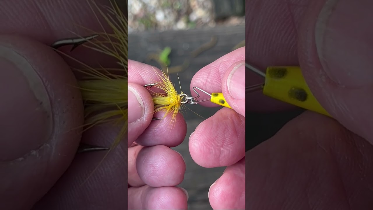 ABU Reflex Spinner 5 9 2025 #jeffmcgovern #pestcoach #abufishinggear