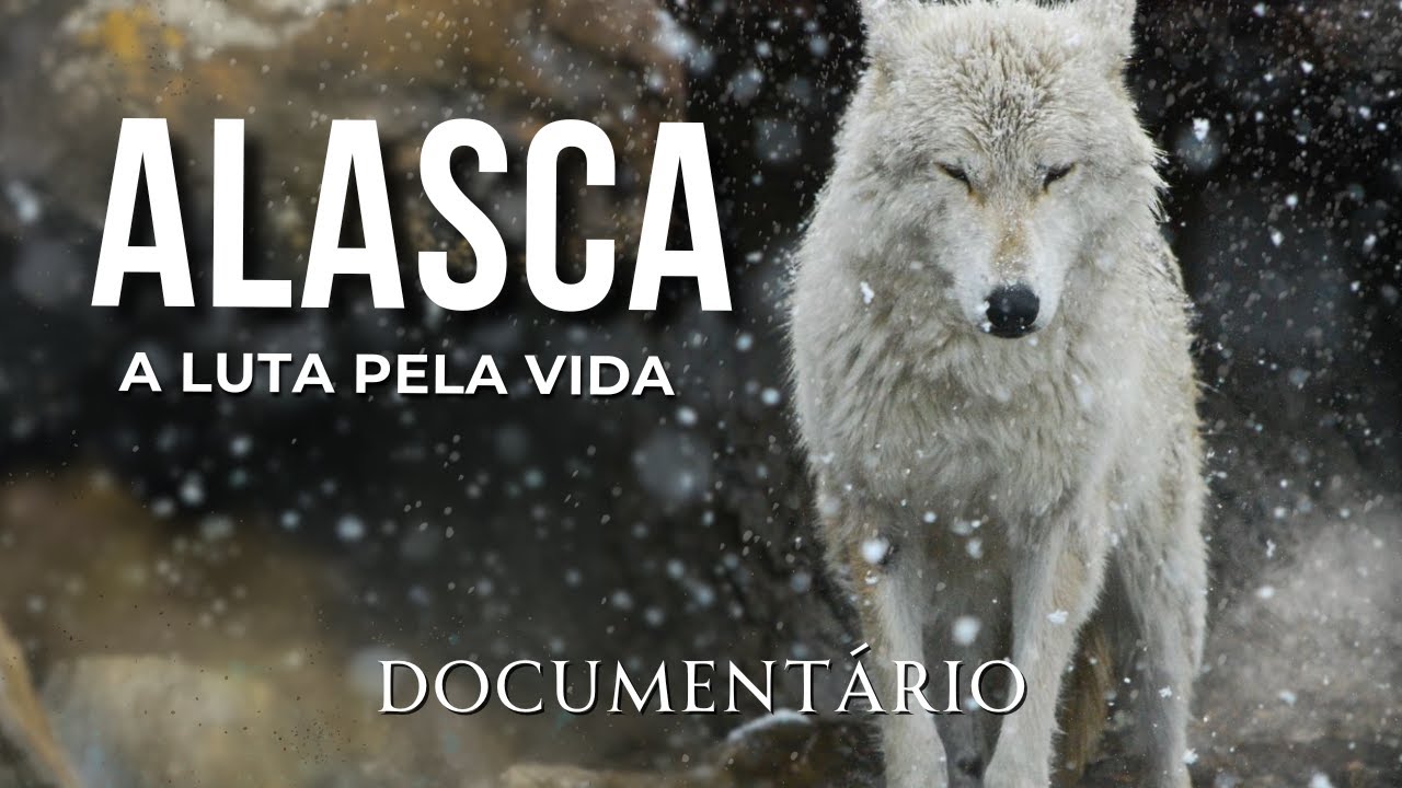 PREDADORES E SOBREVIVENTES | A LUTA PELA VIDA NO ALASCA | Documentário