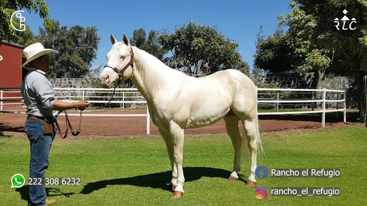 Visita a Rancho El Refugio en Atlixco, Puebla. Parte 1 de 2