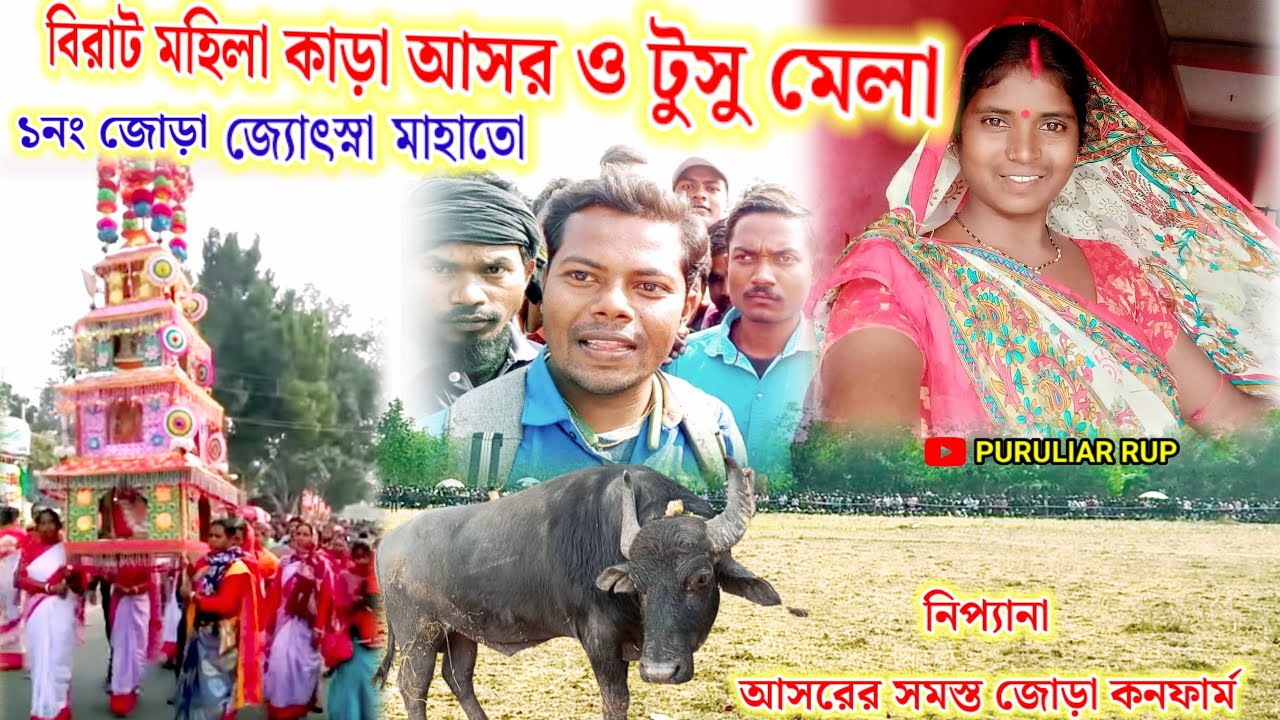 মহিলা কাড়া রশিকের আসর সাথে চ্যাম্পিয়ন জ্যোৎস্না মাহাতোর সহ সমস্ত জোড়া কনফার্ম এবং টুসু মেলা।