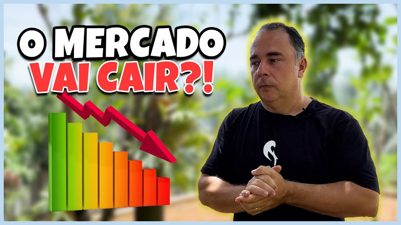 PREÇO DE RING NECK 2025: EXPECTATIVA