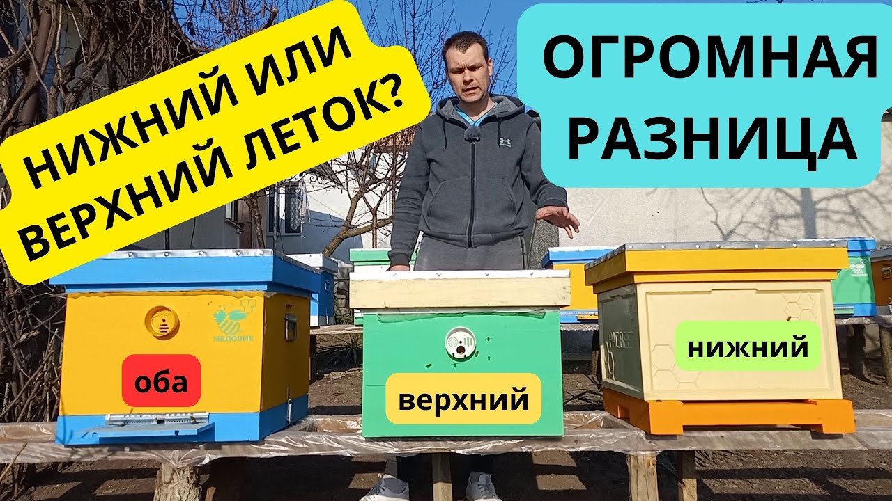 Нижний или верхний леток? Огромная разница, о которой вы можете не подозревать.