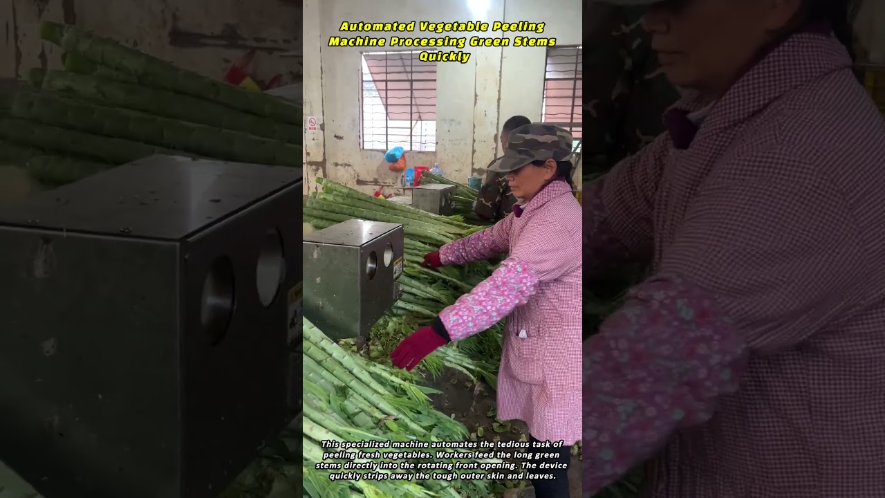 Automated Vegetable Peeling Machine Processing Green Stems Quickly