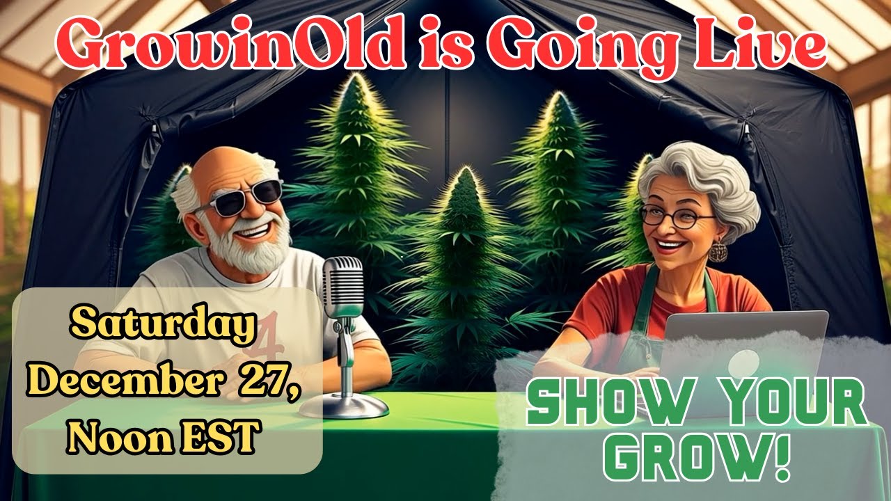 GrowinOld is Live, Saturday, Dec 27 at Noon EST