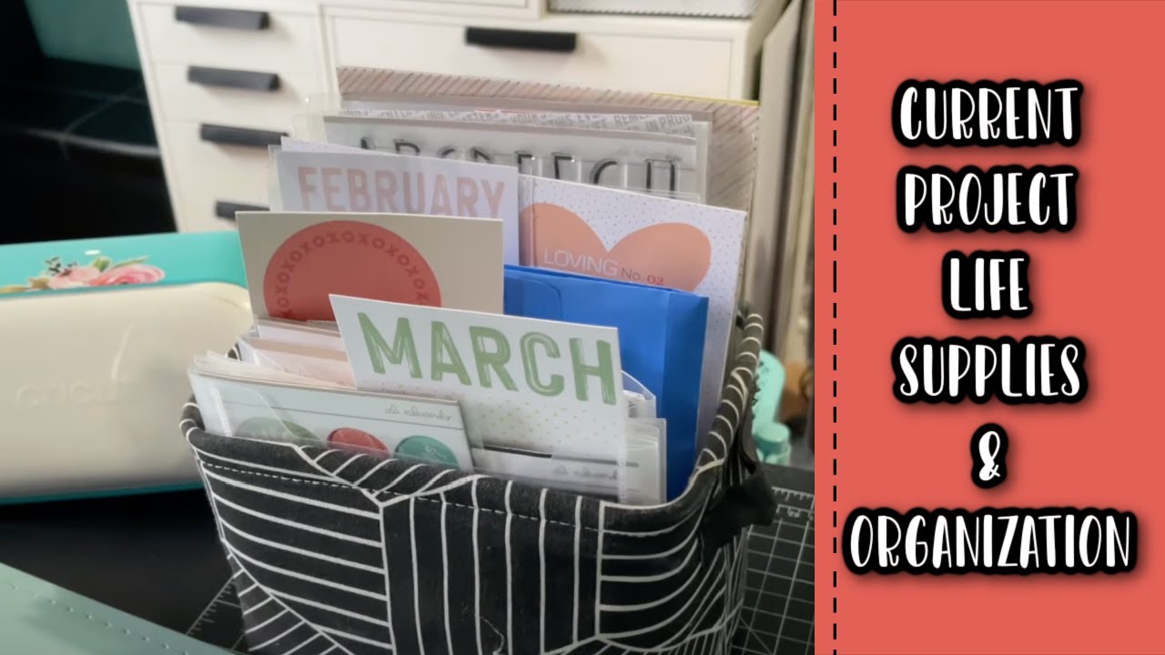 Current Project Life Supplies & Organization