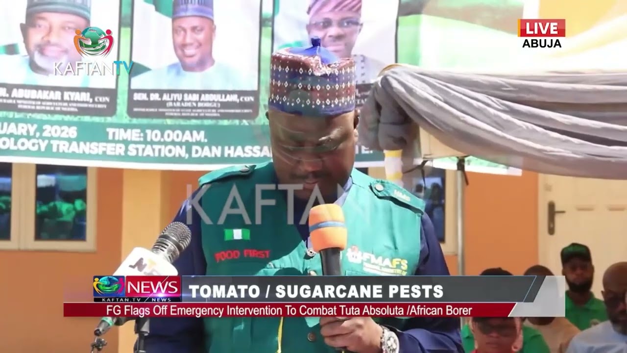 TOMATO / SUGARCANE PESTS: FG FLAGS OFF EMERGENCY INTERVENTION TO COMBAT TUTA ABSOLUTA /AFRICAN BORER