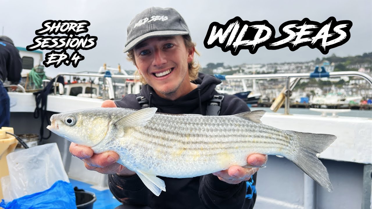 Shore Sessions Ep.4 - Harbour fishing for Mullet using light tackle