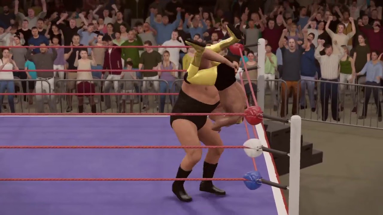 Andre the giant vs Mil Máscaras_ Andre el gigante vs mil máscaras wwe caws Sigfried