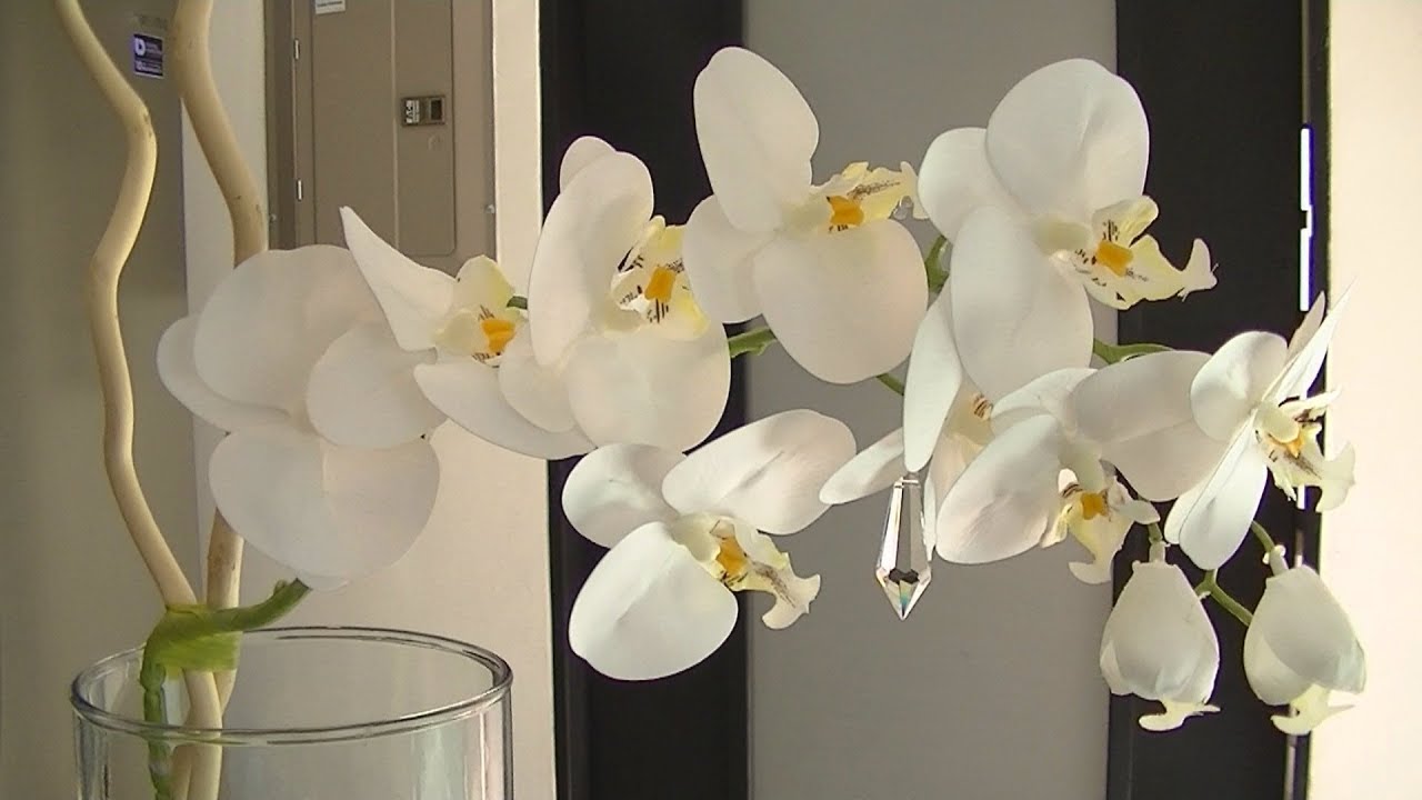 Diseño Floral con Orquideas Blancas