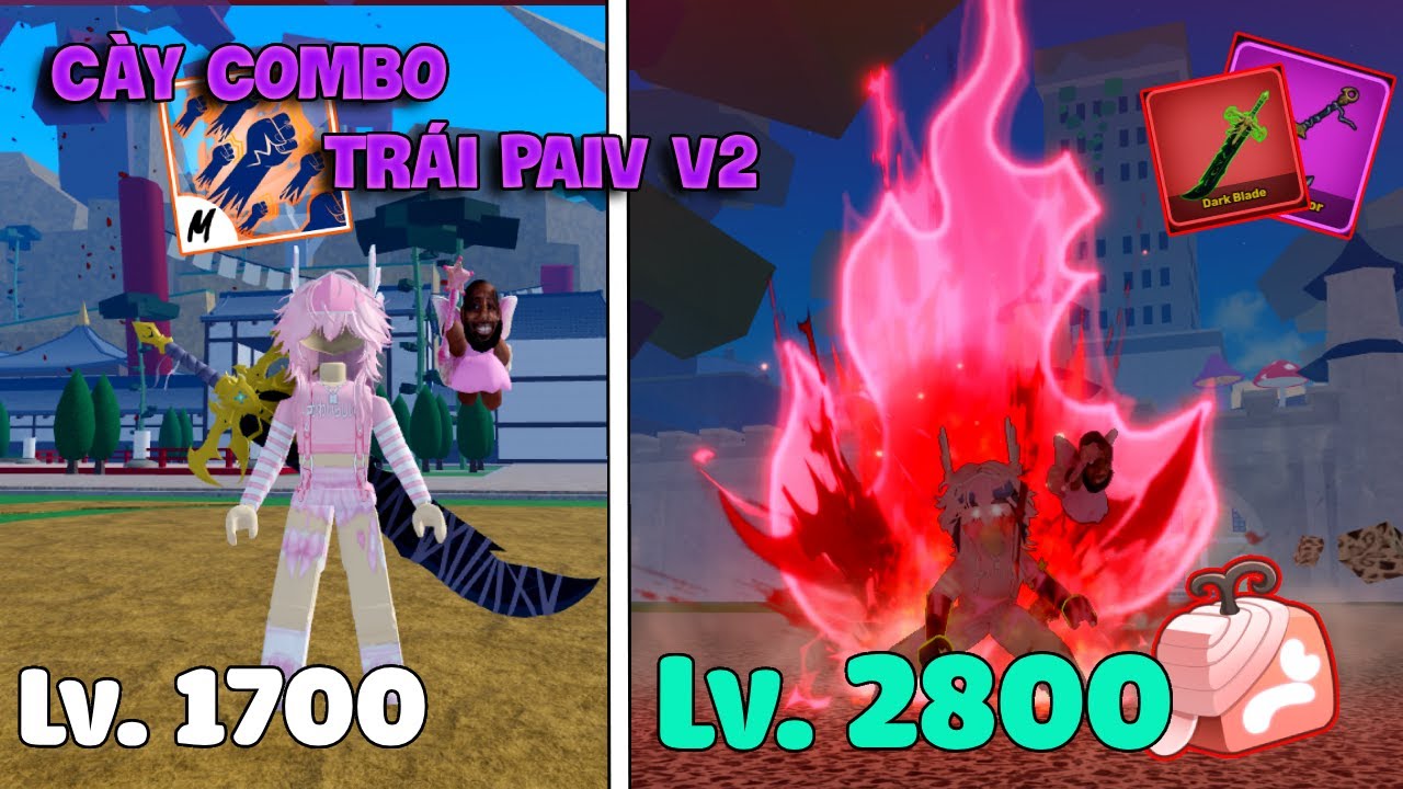 Mình Cày Đơn COMBO Trái PAIN V2 và Lấy Vật Phẩm Cho Khách Trong Blox Fruit