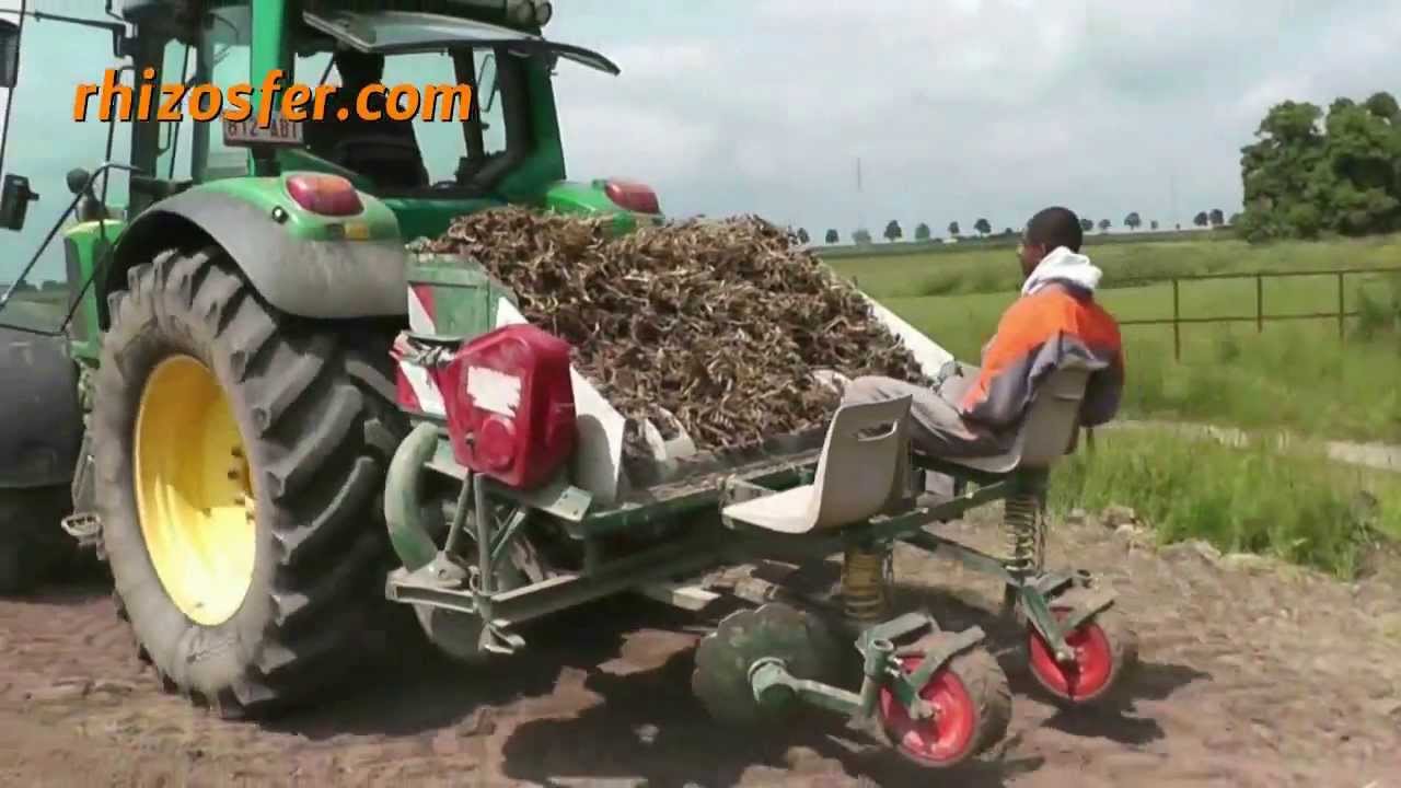 Présentation Société Rhizosfer Miscanthus