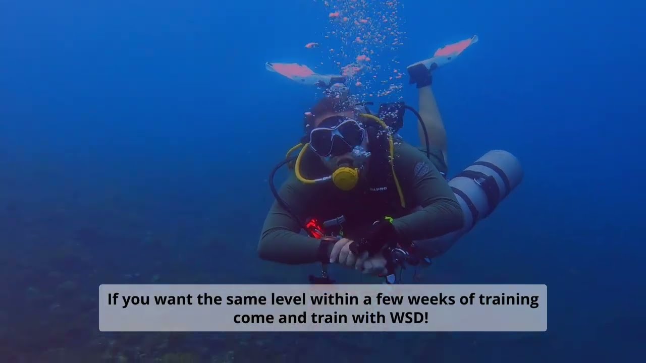 Become a Dive Pro in a short time!