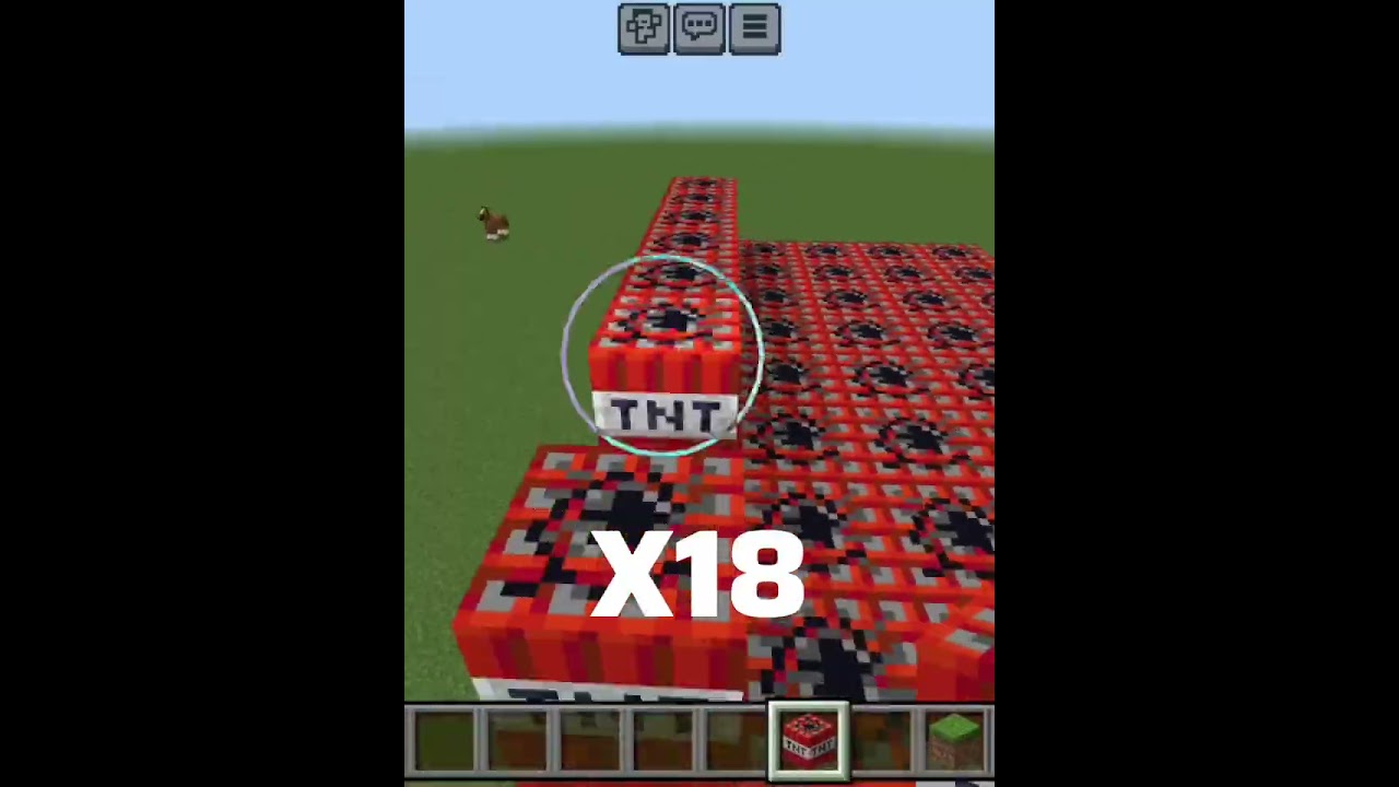 Día 5 colocado TNT por cada suscriptor nuevo 