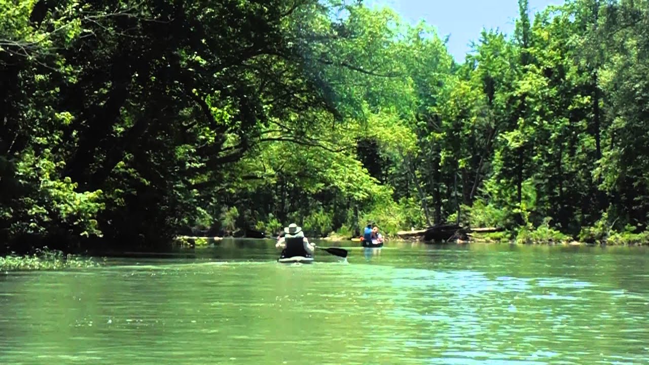 Jim Reynolds Outdoors Mulberry River