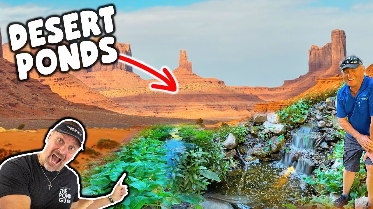 How to ESCAPE the Desert. In THE DESERT!