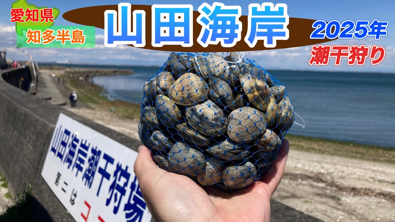 ほぼノーカットでアサリを掘りまくります✌️