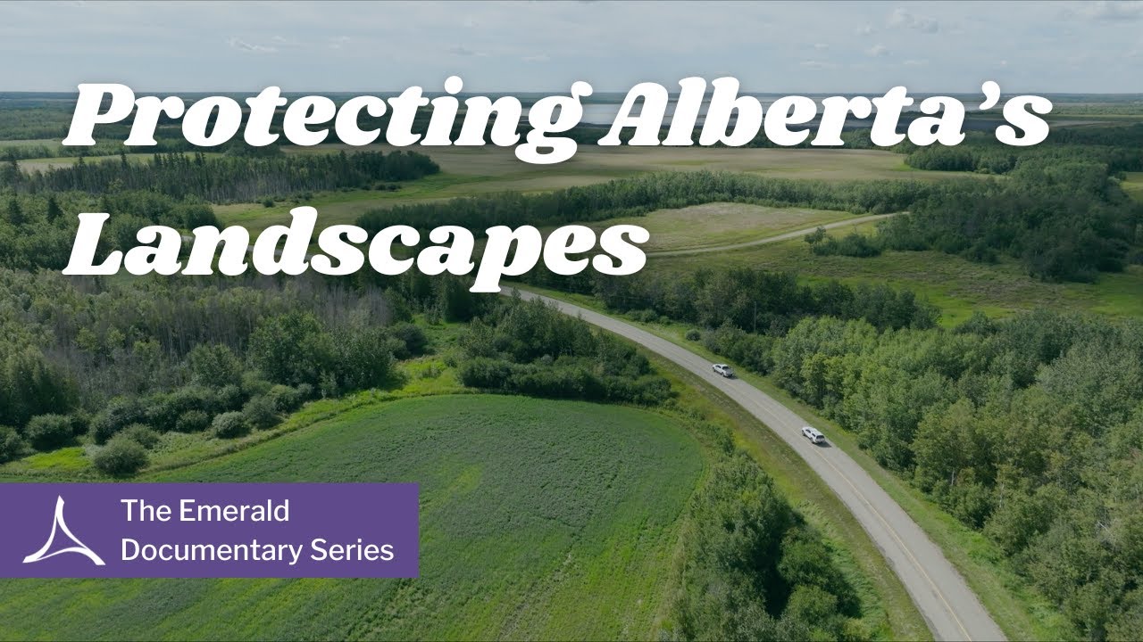 Protecting Alberta’s Landscapes: How the ACA Conserves Wildlife & Habitats for Future Generations