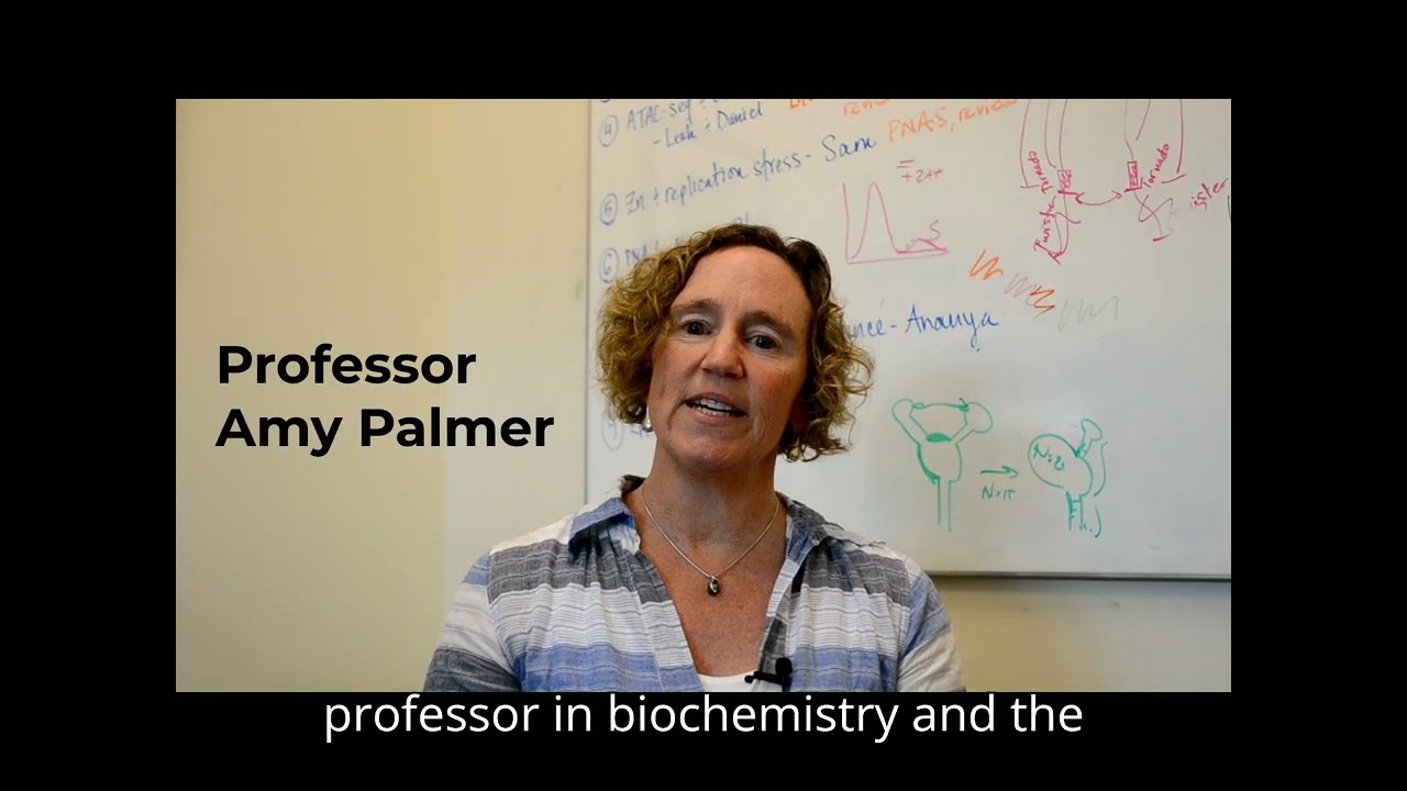 UC Boulder Beckman LightSheet Center with Transcript