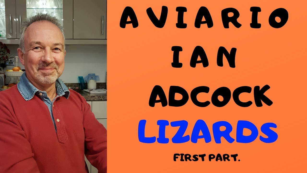 LIZARDS AVIARIO IAN ADCOCK