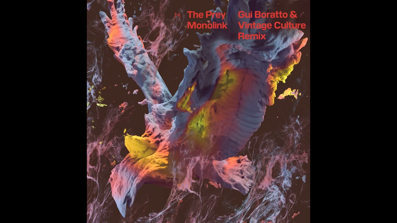 Monolink - The Prey (Gui Boratto & Vintage Culture Remix)