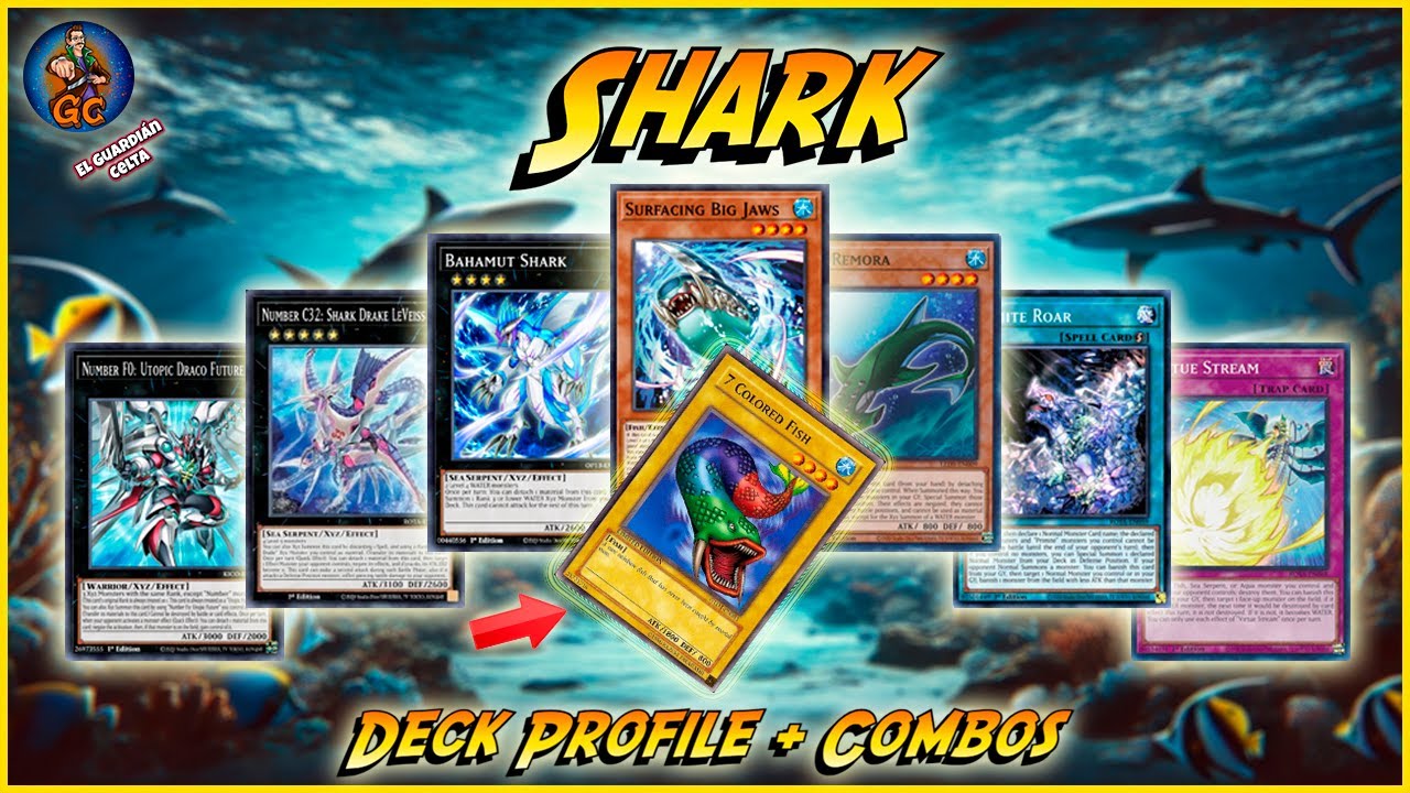 Shark Deck Profile YuGiOh + Combos post ROTA 2024 - ¿PEZ DE 7 COLORES? - TOP 8 OTS Logroño.