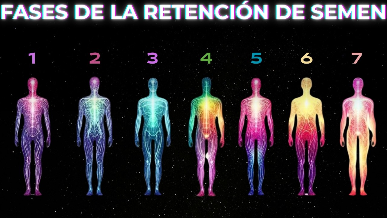 Las 7 Fases de la Retención de Semen