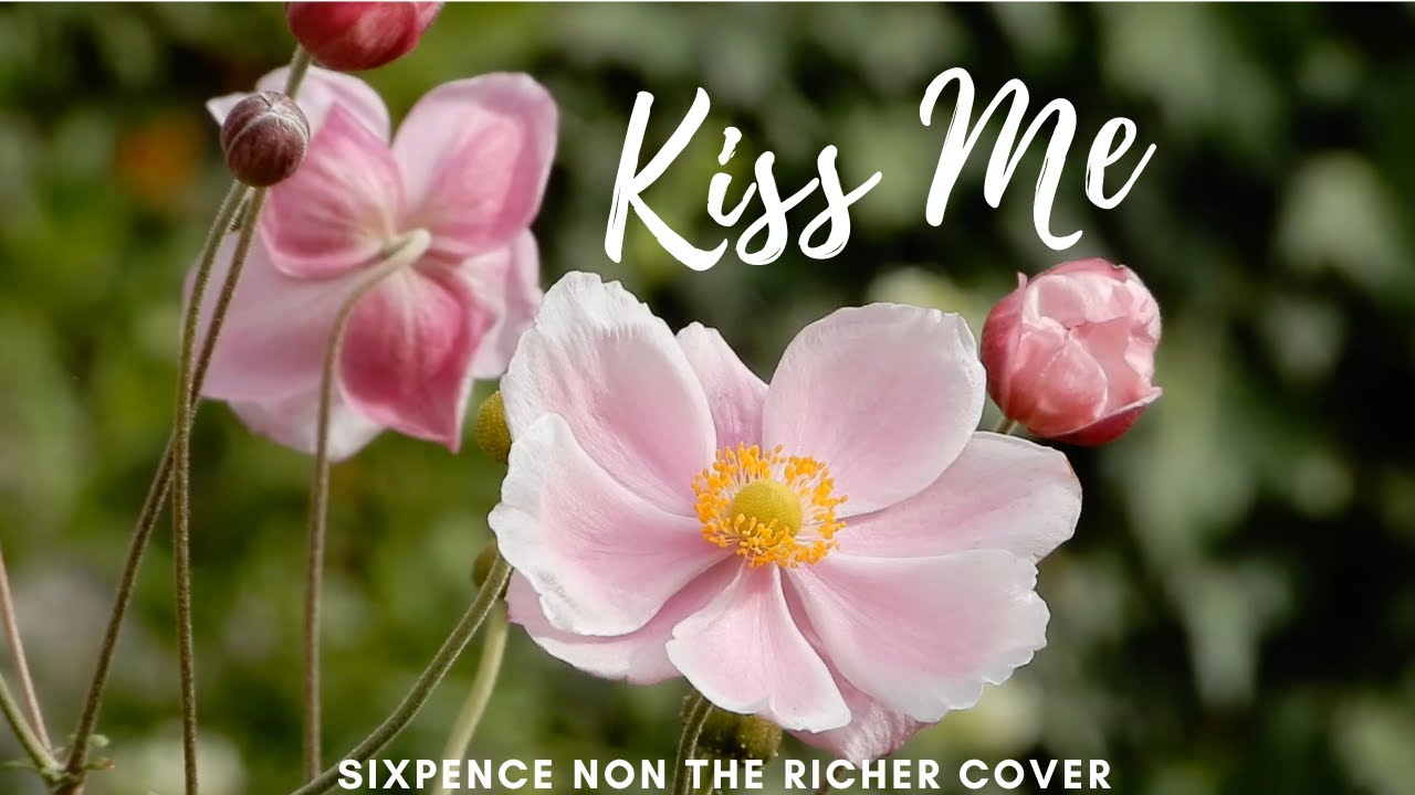 Sixpence non the richer - Kiss Me Cover | Chill