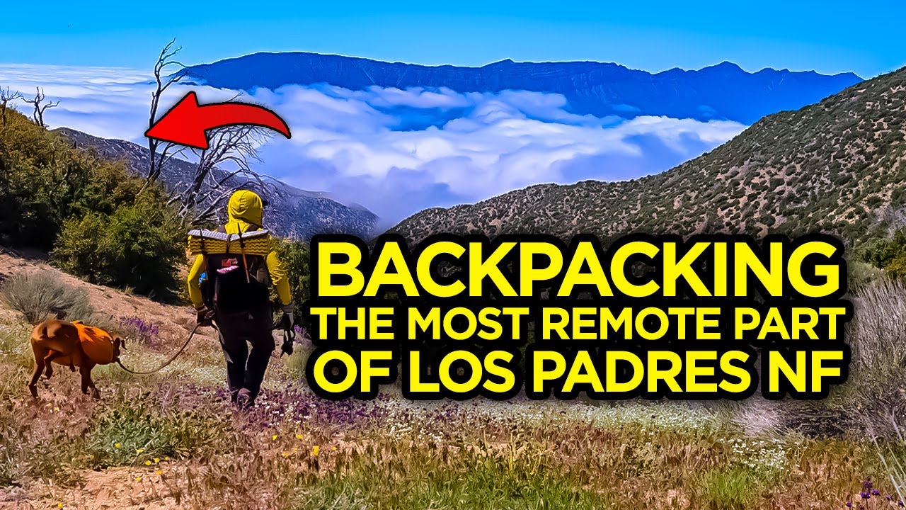 Sespe Wilderness Backpacking: Alder Creek to Johnston Ridge
