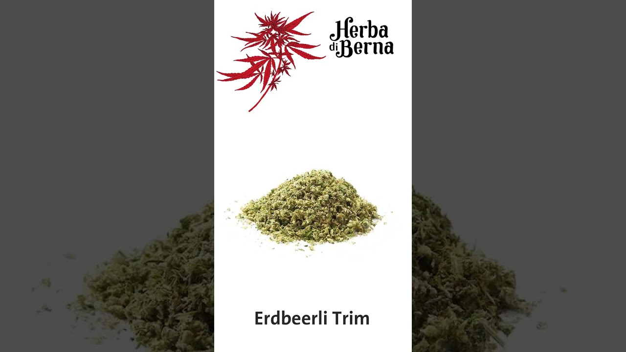 Erdbeerli CBD Handtrim 🍓 | Fruchtige CBD-Bl&uuml;te aus Indoor-Grow