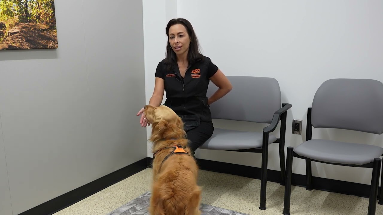 Behavior Service - Eye Contact