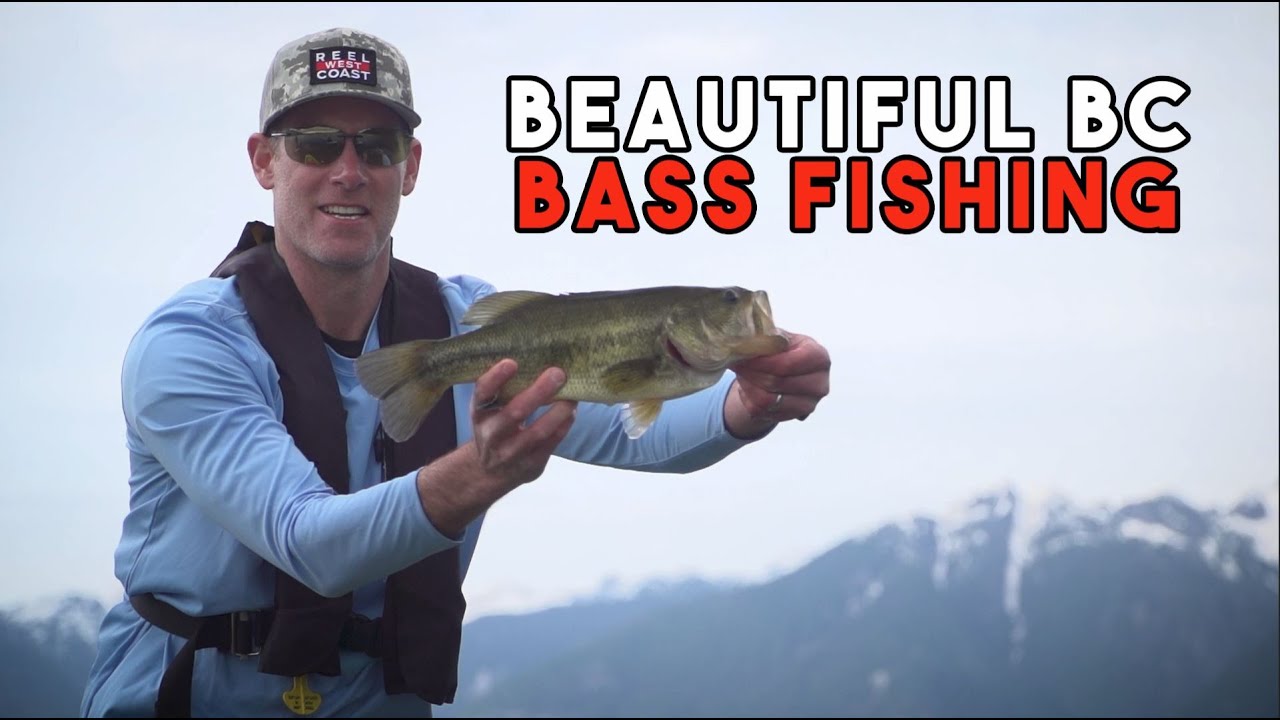 Beautiful BC Bass Fishing | All you need to know!