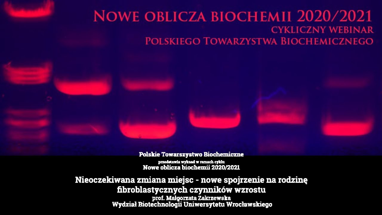 Nowe spojrzenie na rodzinę fibroblastycznych czynnik&oacute;w wzrostu, prof. Małgorzata Zakrzewska