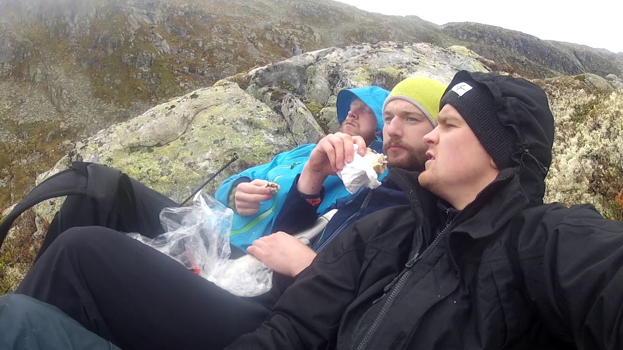 Sauesanking Viksdalen