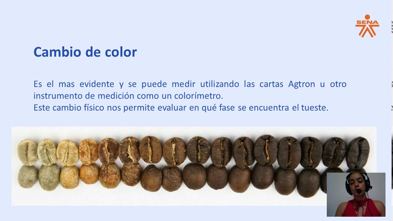 cambios durante el tueste de café