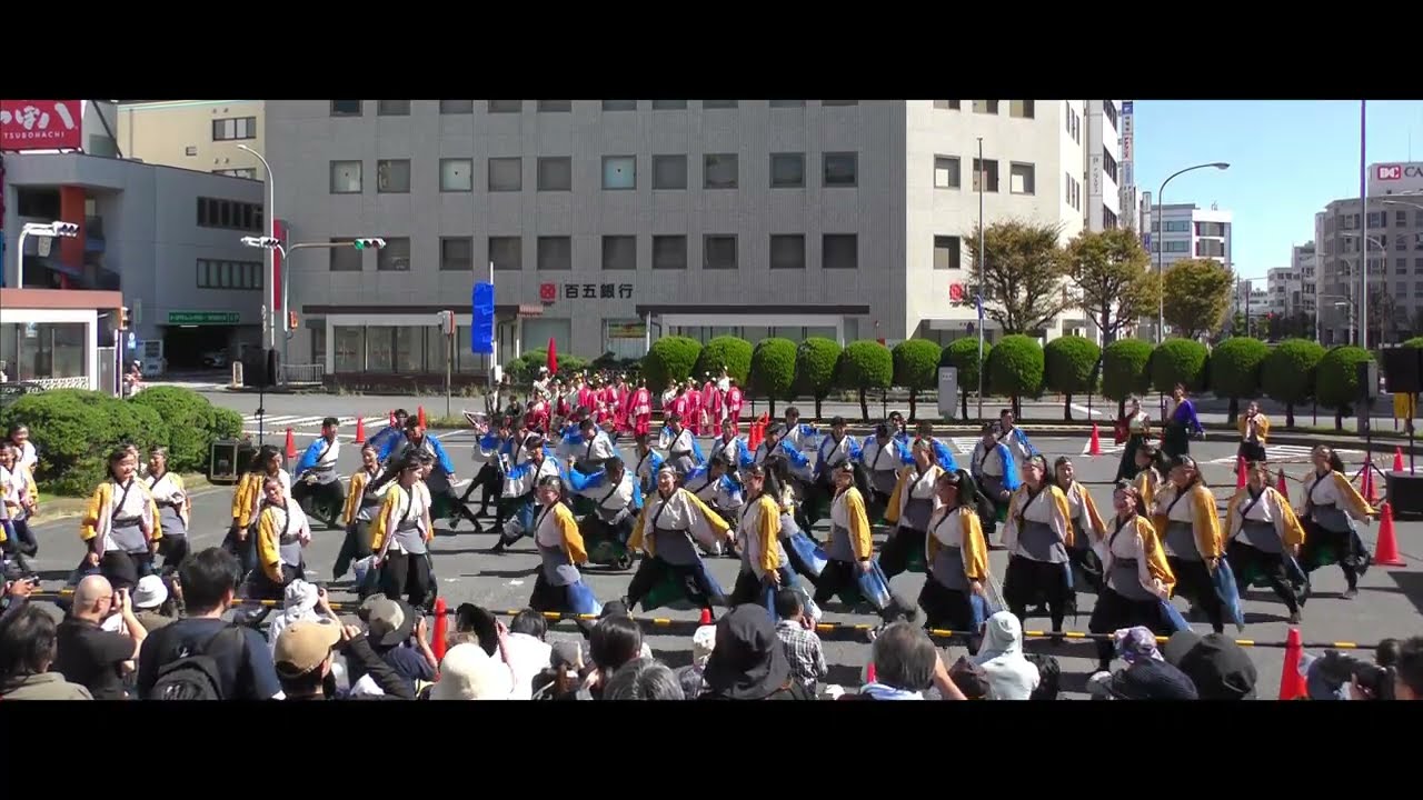 信州大学YOSAKOI祭りサークル 和っしょい　安濃津よさこい2024　2日目　津駅前会場