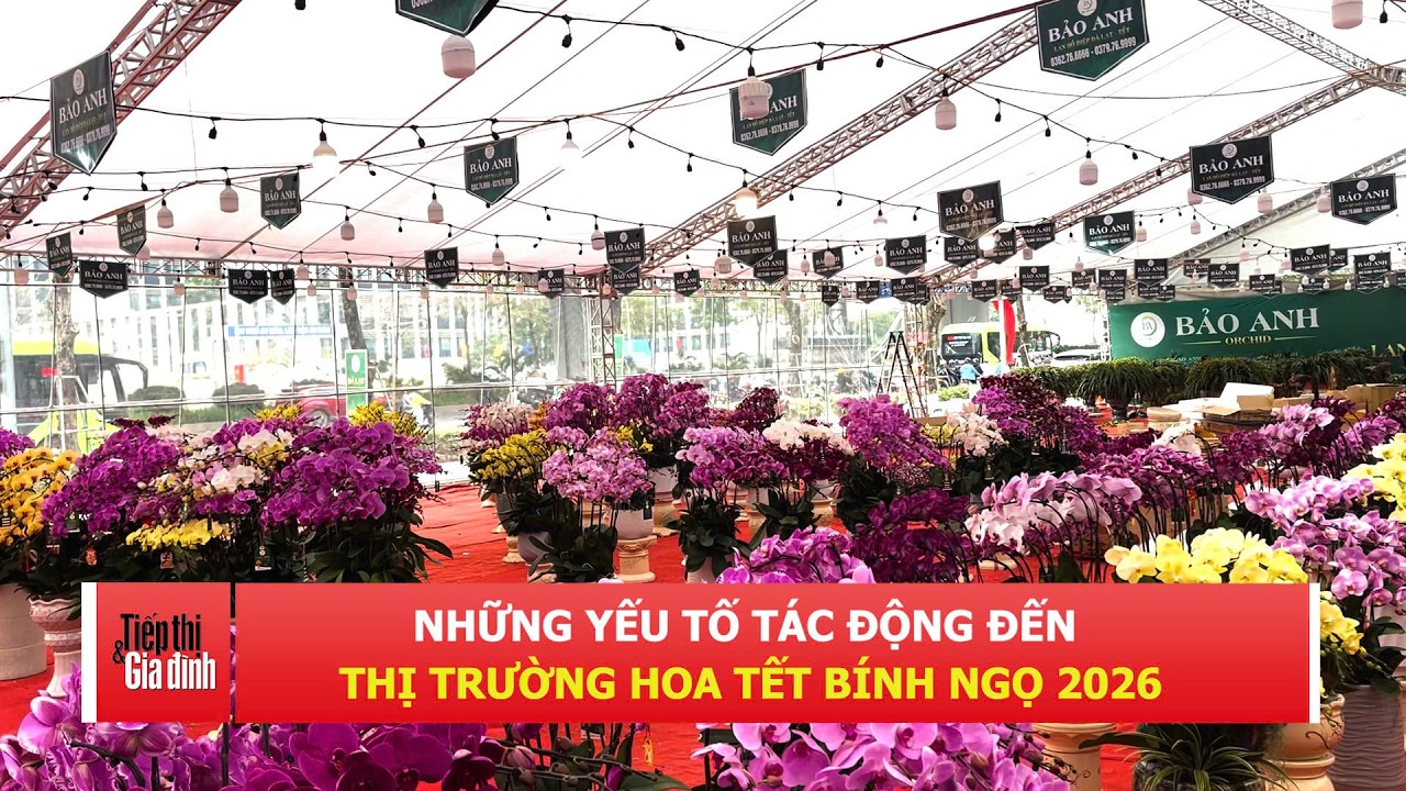 Những yếu tố tác động đến thị trường hoa Tết Bính Ngọ 2026 | TTGĐ