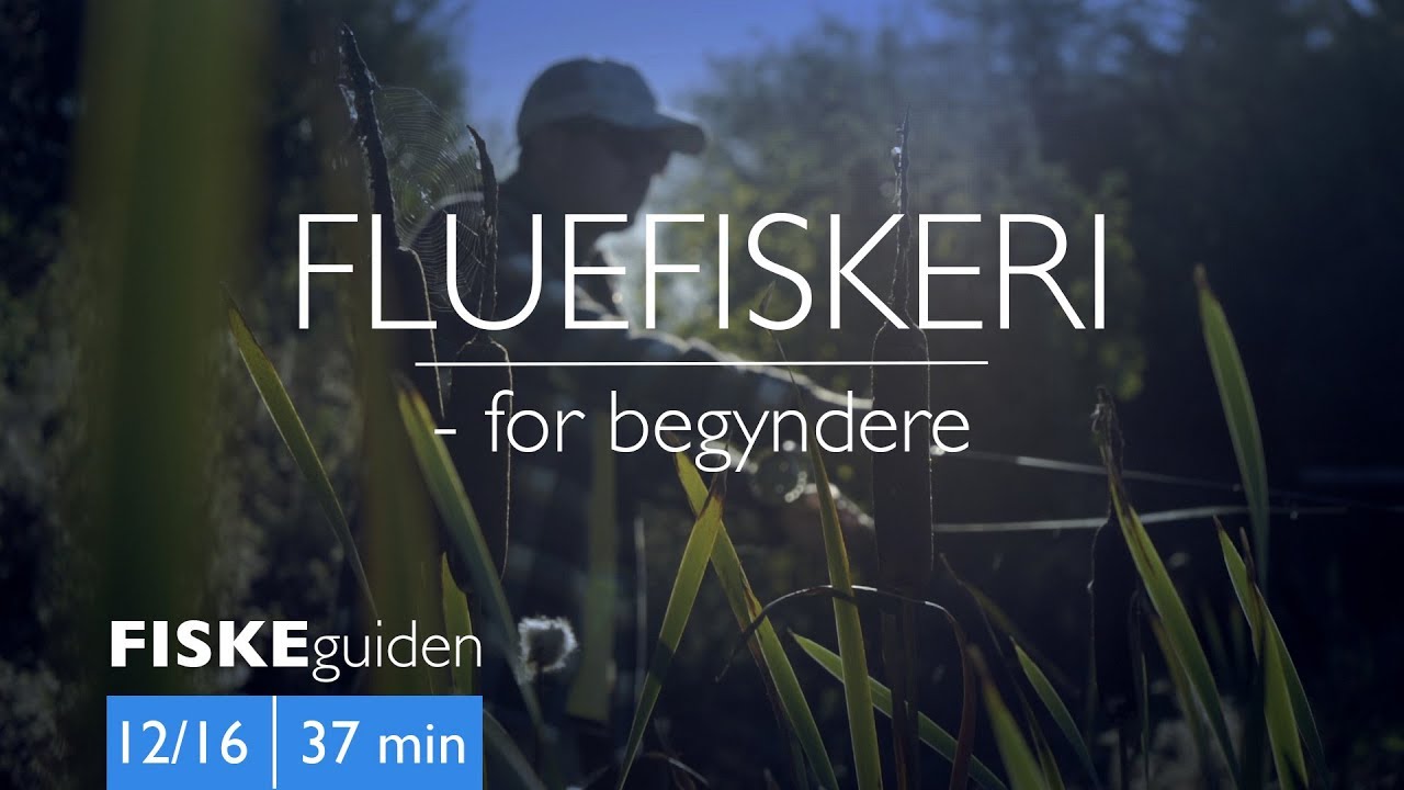 FISKEguiden 12/16: Fluefiskeri for begyndere