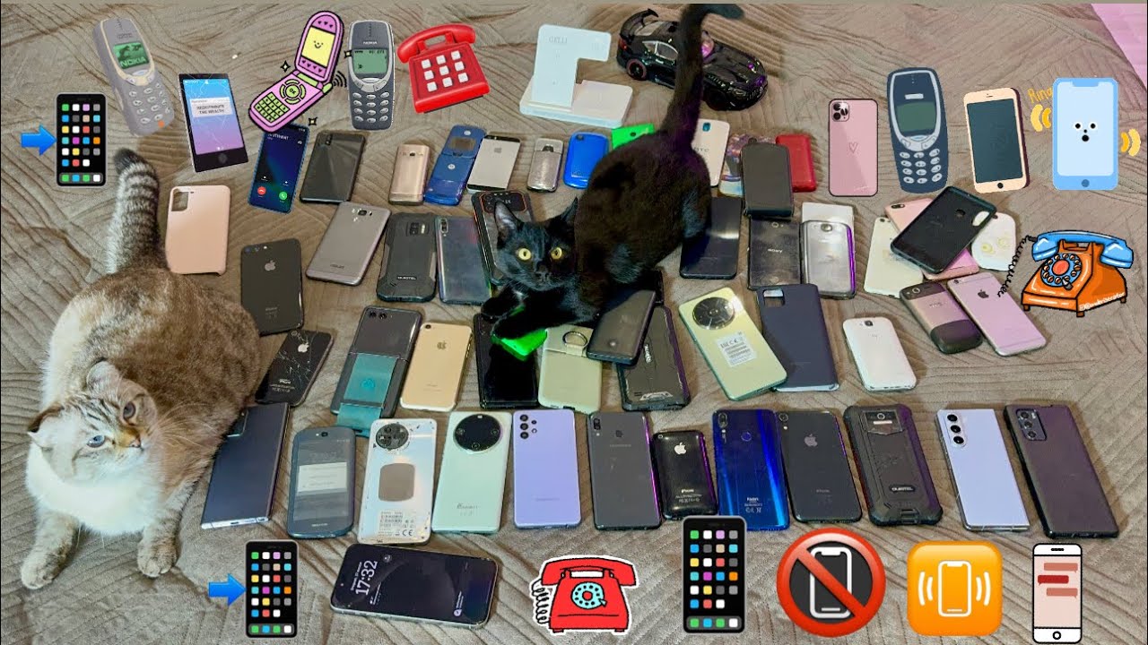 All my Mobile Devices Startup and Shutdown | My cats are filming a review on their phones.