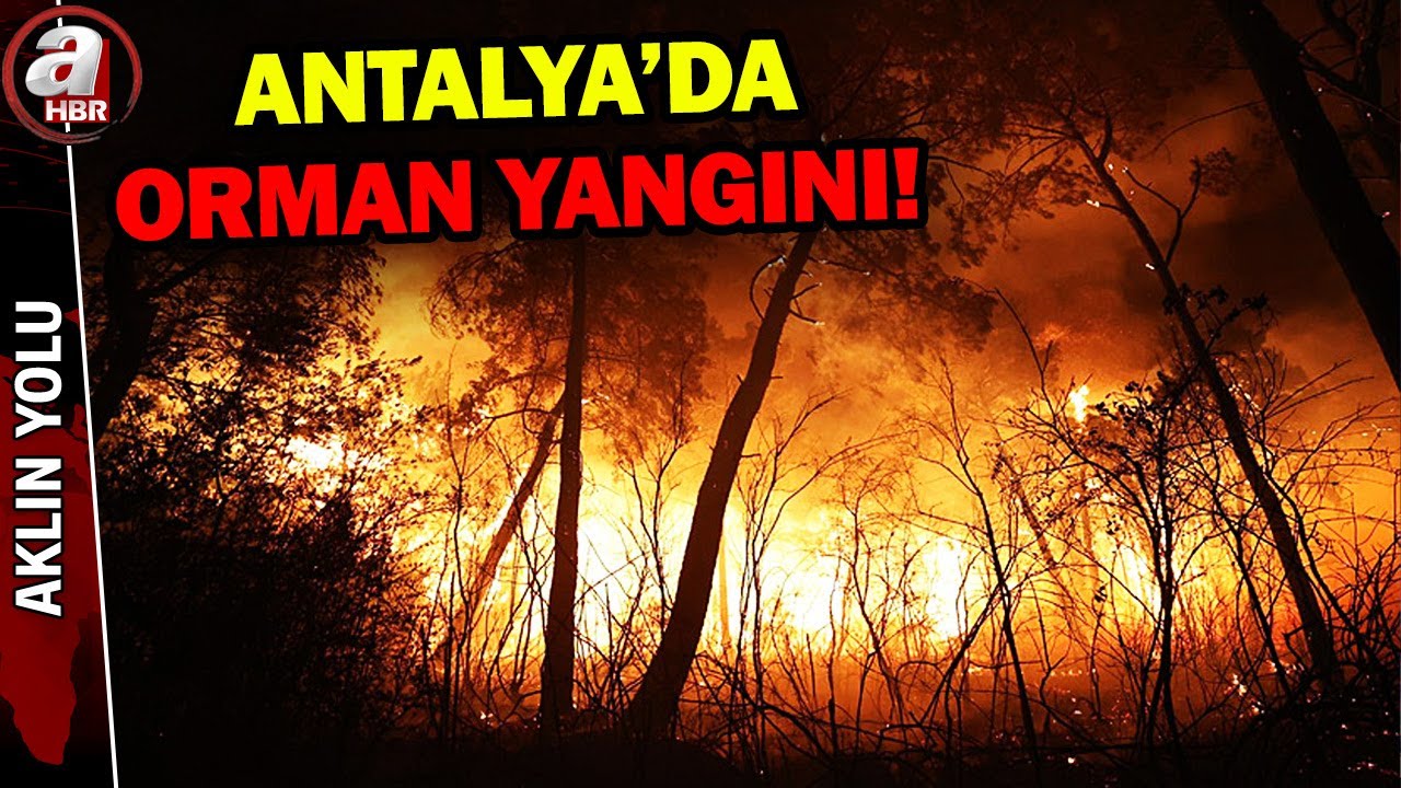 Antalya'da orman yangını! 2 otel boşaltıldı | A Haber