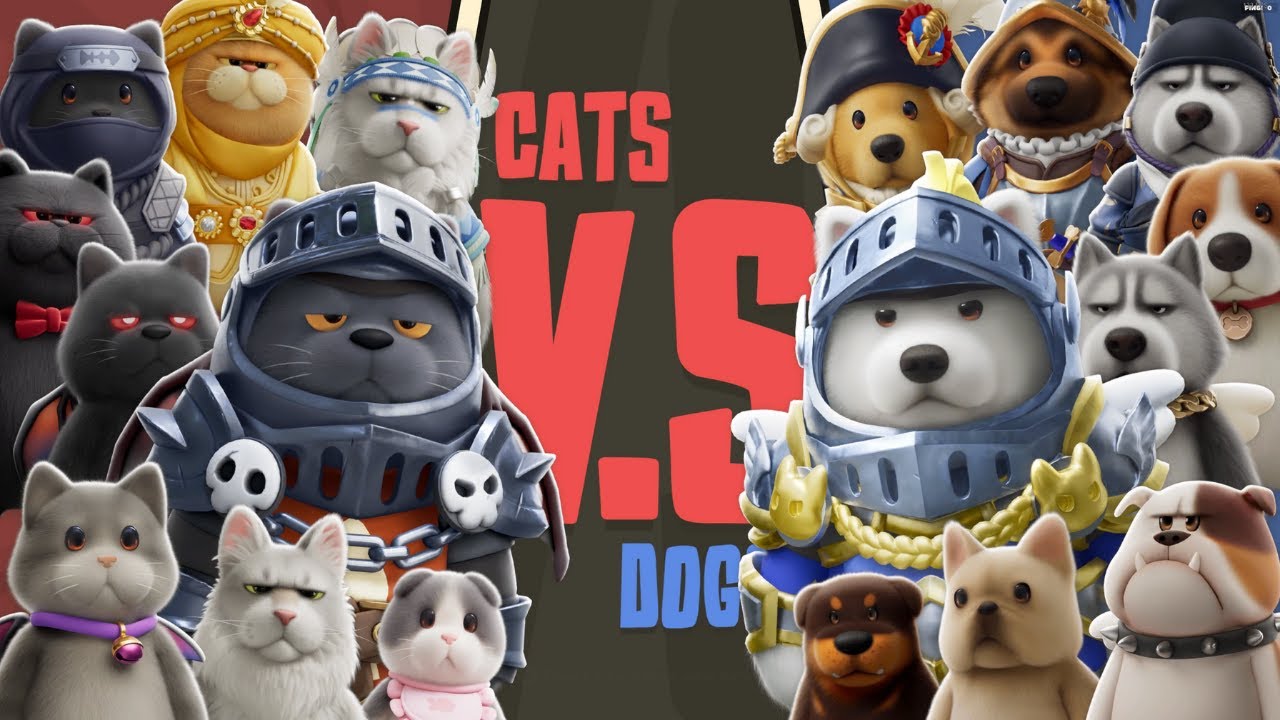 One Year Anniversary Update on Party Animals, Cats V.S. Dogs Who Will You Choose !