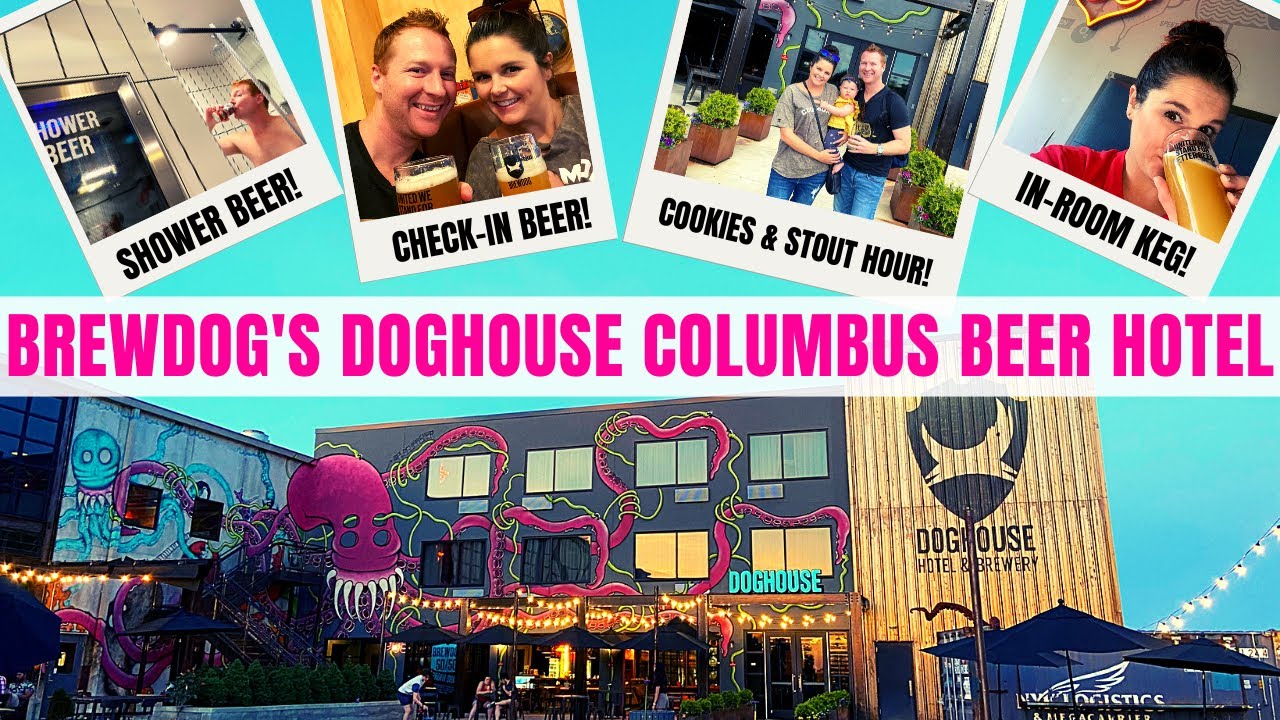 Мы остановились в пивном отеле! Полный обзор отеля Brewdog's Doghouse Columbus Beer Hotel | Обяза...