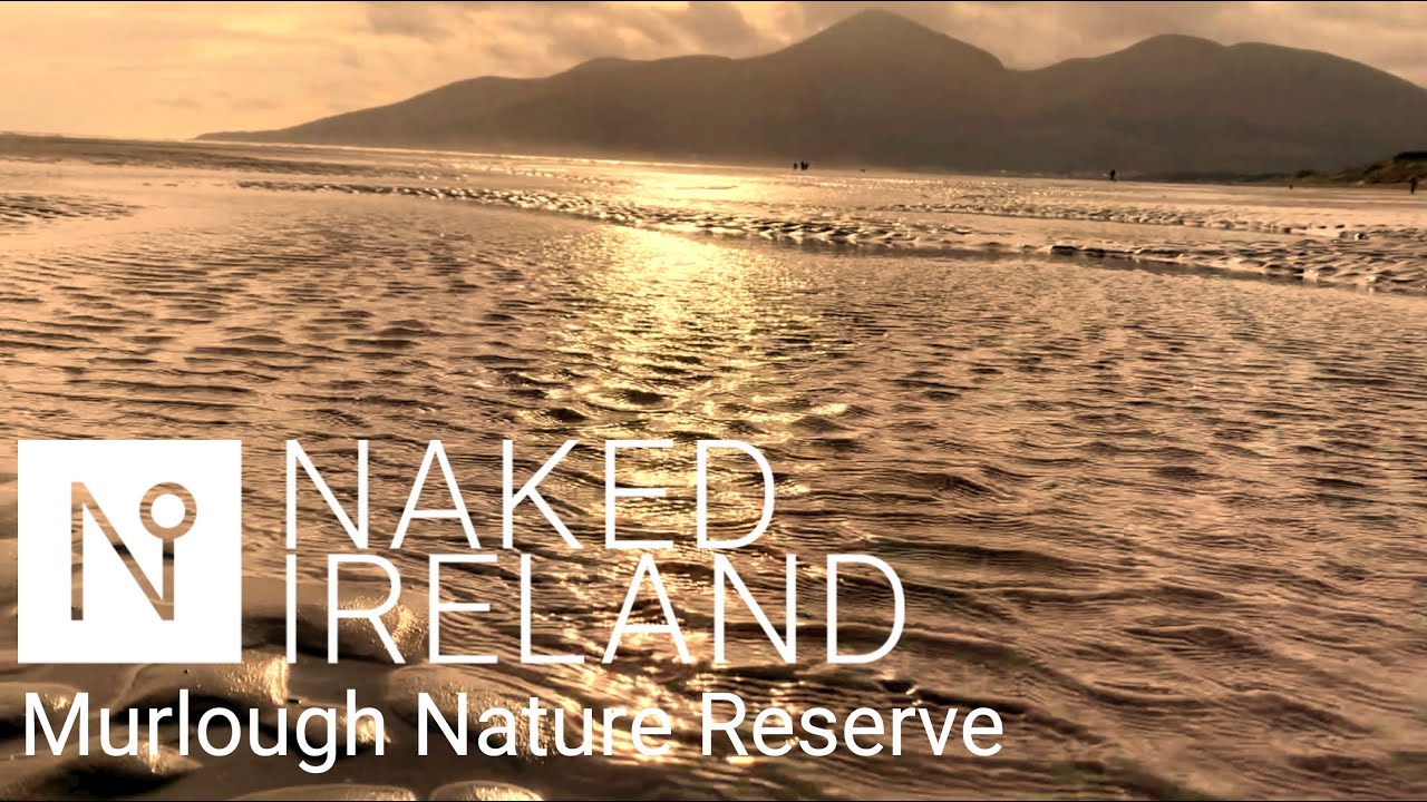 A walk through the Murlough Nature Reserve in County Down, Northern Ireland.