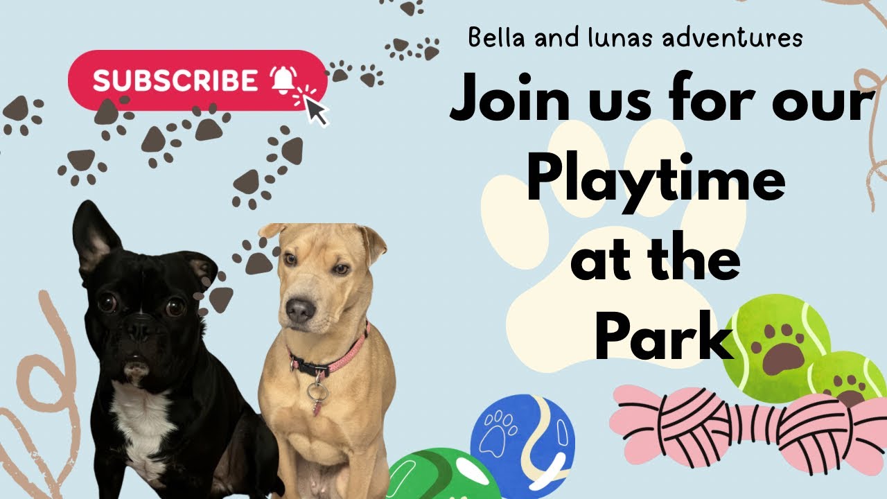 Bella and Luna at the park 