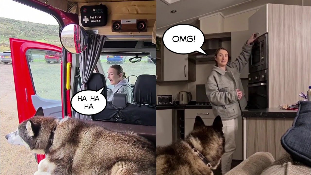Daughter and Husky's Hilarious Road Trips Together