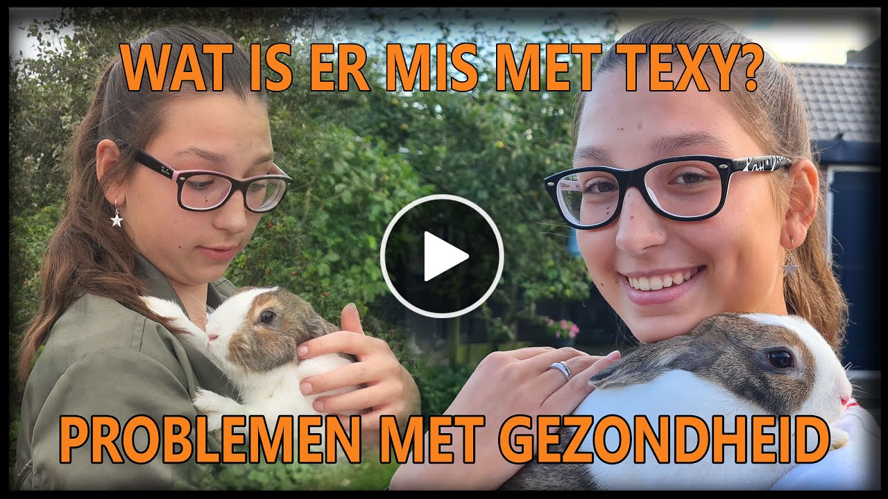 ONVERWACHT DROEVIG NIEUWS OVER TEXY MET EEN VERRASSEND EINDE - #378