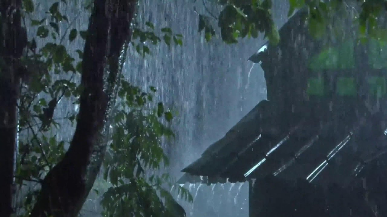 Ultimate Cozy Rain ASMR: Instantly Sleep Deep & Unwind | Stress & Anxiety Relief Sounds