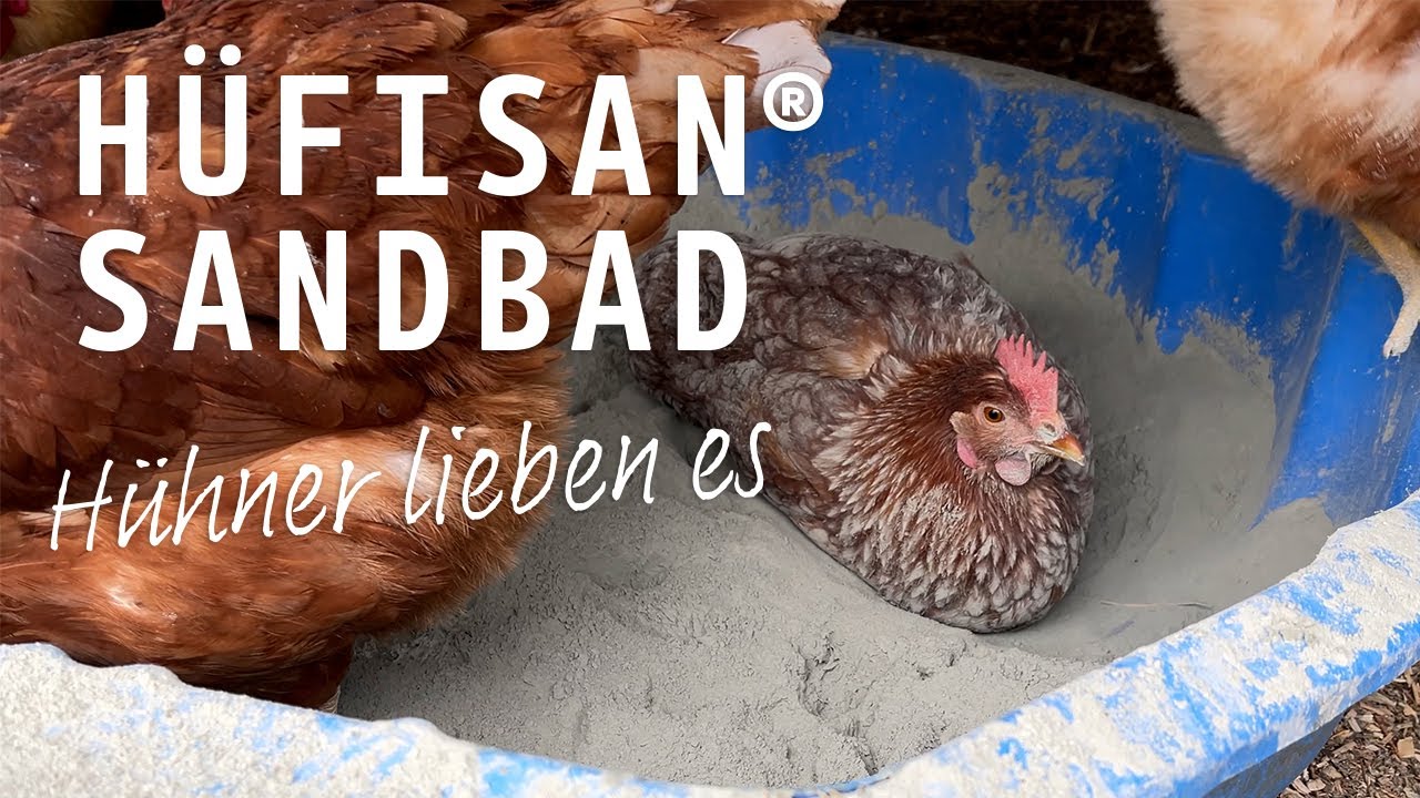 Hüfisan als Sandbad: Der Erfahrungsbericht | Schicker Mineral